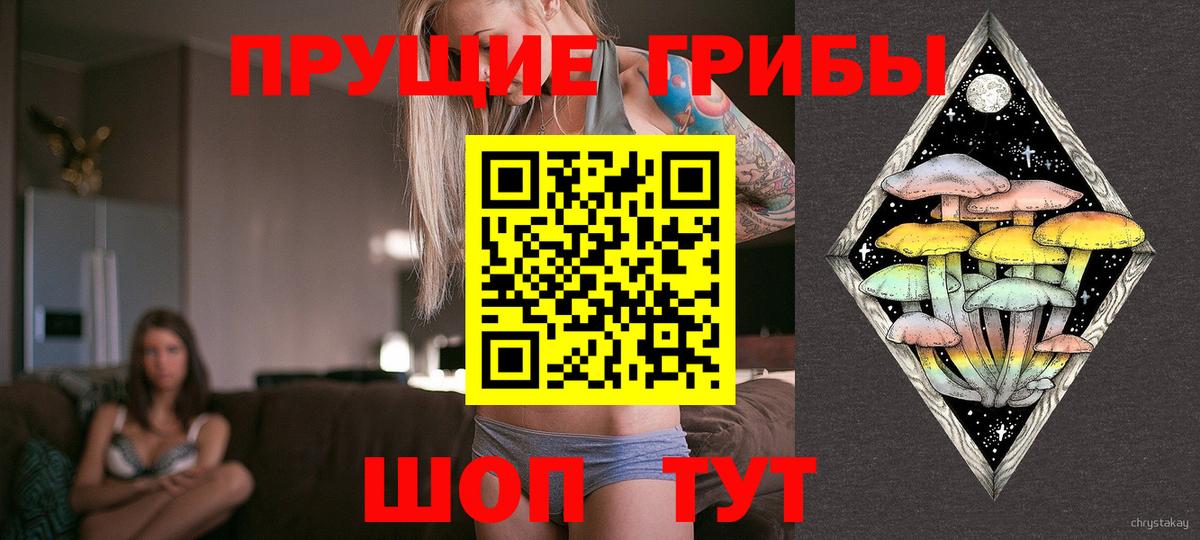 Новокуйбышевск  Псилоцибиновые грибы мухоморы  Вход с VPN 